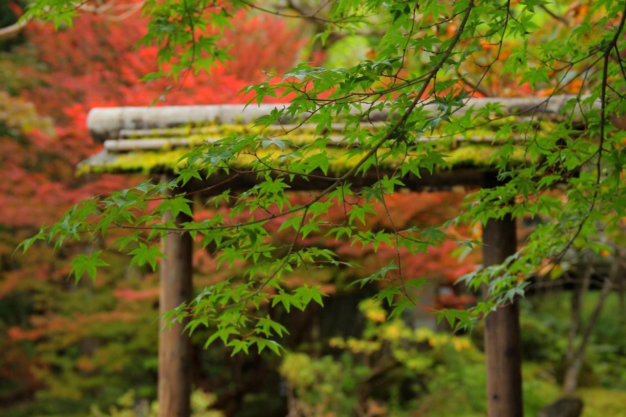 Hotel Nikko Hoshino Yado Exterior foto